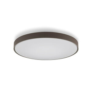 IRIS OHYAMA �A�C���X�I�[���} CEA12D-L7.0WFM�@LED�V�[�����O���C�g�@12��@�������F�@�E�b�h�t���[�� �E�H�[���i�b�g