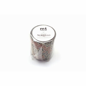 KAMOI/�J������H�� mt×Morris��Co. Michaelmas Daisy MTWILL30