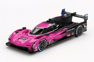 SUNRICH JAPAN �T�����b�`�W���p�� MINIGT1/64 �L���f���b�NV�V���[�Y. R IMSA �v�`�E���E�}�� 2024 #01 �L���f���b�N�E���[�V���OMGT01010-L
