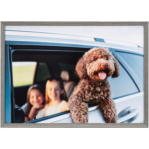 Kenko �P���R�[ AAG-A4-GRY �O���[ Amineo grande A4 �A�~�l�I�E�O�����f