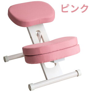MIYATAKE �{�����쏊 �N�b�V�����t���v���|�[�V�����`�F�A�L�b�Y(�z���C�g�r) �s���N CH-N889CK