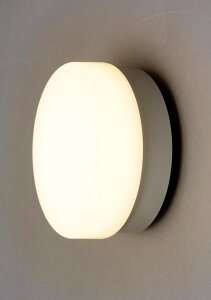 IRIS OHYAMA �A�C���X�I�[���} IRCL5L-CIPLS-BS �V���o�[ �|�[�`������ 500lm�d���F