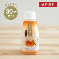 【まとめ買い・送料無料】 白神手づくり工房 乳酸菌甘酒 「白神ささら」 蜜柑 30本セット ノンアルコール…