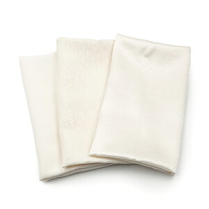 ͂ꐶn z VN 󂠂 3Zbg  35cm×50cm