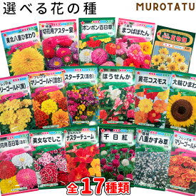 選べる 花の種 全17種類トーホク 種子 ガーデニング 家庭菜園 プランター 花壇 初心者 選べる種
