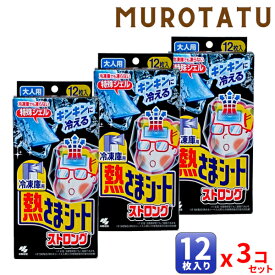 【P5倍】【3個セット】熱さまシート 冷凍庫用 熱さまシートストロング 大人用 12枚入り 強力 冷却シート 冷やして使う 小林製薬 熱中症対策 解熱 暑さ対策