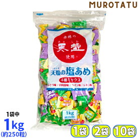 塩飴 【送料無料】天塩の塩あめ ミックス 1kg 業務用 / 1袋 / 2袋 / 10袋 / おいしい 熱中症対策 赤穂化成 塩分補給 熱中症 夏 4種類 ブドウ味 日向夏味 パイン味 レモン味 約250粒入 スポーツ トレーニング 外出 アウトドア 暑さ対策