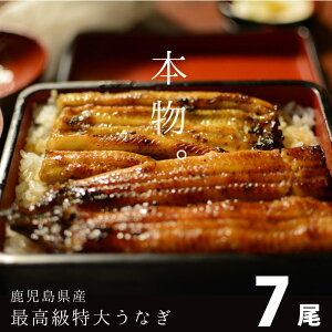 ōȂ 7 Ȃ V Mtg Y YȂ j Y  Ă N̓ V  V YʑS1   ^pbN Ⓚ O Hו 