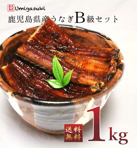 国産 うなぎ 1kgの人気商品 通販 価格比較 価格 Com