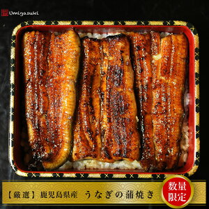 うなぎ お取り寄せの人気商品 通販 価格比較 価格 Com
