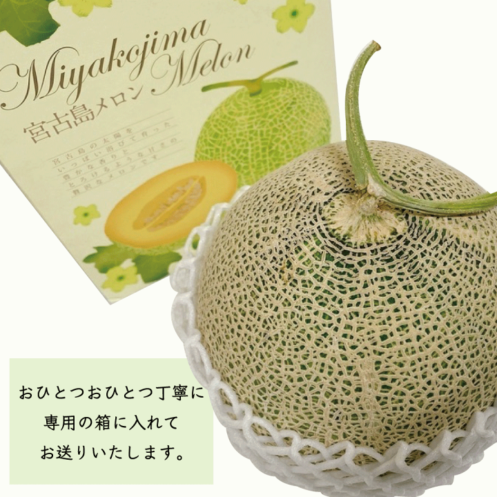 楽天市場】宮古島メロン【1個】メロン 宮古島 贈答品 お取り寄せ 内祝