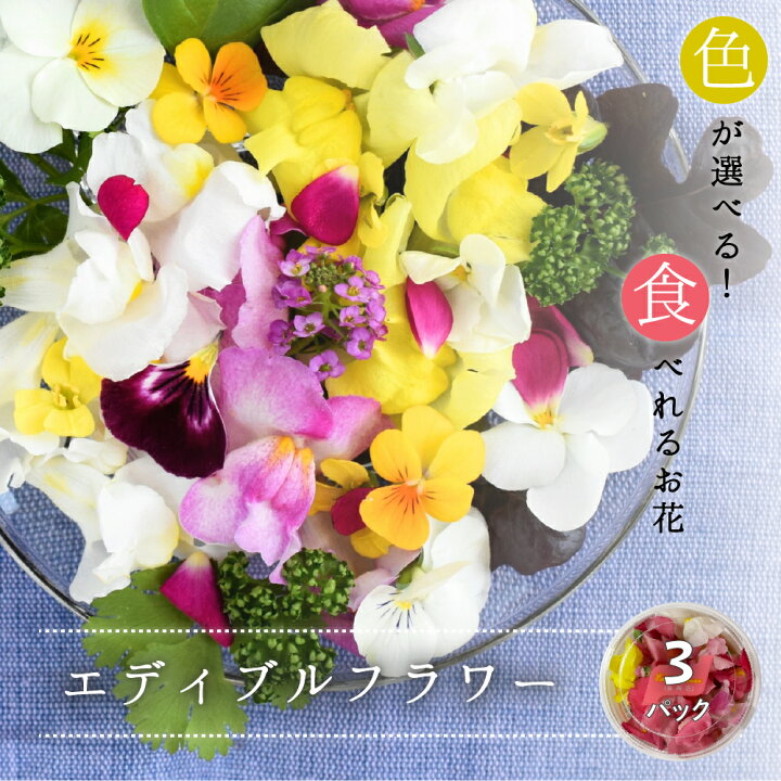 楽天市場 エディブルフラワー 3パック 1パック 30輪前後 食用花 エディブルフラワー 花びら 食用花 デコレーション 誕生日 プレゼント パンジー スミレ ギフト 母の日 父の日 自然 ナチュラル アイシングクッキー ケーキ ホットケーキ 日本産 海が好き 楽天市場店