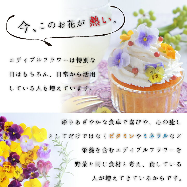楽天市場 エディブルフラワー 1パック 1パック 30輪前後 食用花 エディブルフラワー 花びら 食用花 デコレーション 誕生日 プレゼント パンジー スミレ ギフト お歳暮 自然 ナチュラル アイシングクッキー ケーキ ホットケーキ 日本産 海が好き 楽天市場店