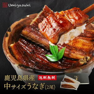 ōȂ TCY 2 Ȃ V Y YȂ j Y  Ă N̓ V  V YʑS1   ^pbN Ⓚ O Hו 