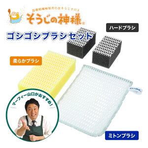 【レビュー特典】 そうじの神様 ゴシゴシブラシセット バス用 エアコン キッチン 汚れ落とし こげ落とし おそうじクロス スポンジ 大掃除 セーレン マーフィー山口 大そうじ 掃除の神様 掃