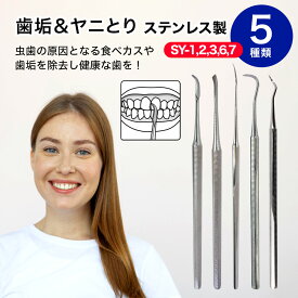 歯垢＆ヤニとり ステンレス デンタルケア 5種類 北正 Kanetsune 一般医療機器 美容 白い歯 ホワイト デンタル 歯をきれいに SY-1 SY-2 SY-3 SY-6 SY-7 歯垢 ヤニとり