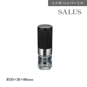 SALUS ~j ybp[~ ~jTCY ZCX  e҂ ה҂ ~ ҂ RVE Ӟ IV  e   Lb`pi 