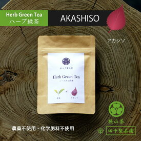 【メール便（3個まで）】田中製茶園 「ハーブ入り煎茶 アカシソ」 農薬不使用 化学肥料不使用 香料不使用 狭山 煎茶 オーガニック赤シソ 緑茶 埼玉県産 国産 ティーバッグ 茶葉 お茶 さやま茶 水出し りょくちゃ せんちゃ ハーブティー 日本三大銘茶 プチギフト