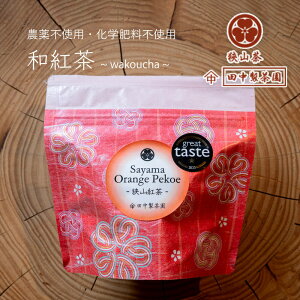 y[ցi2܂Łjz c uRg IWyR[i7jv _sgp w엿sgp sgp Ԃ REag I[KjbN o Y eB[obO  