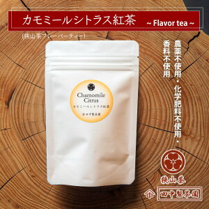 y[ցi2܂Łjz c J~[VgXg iRt[o[eB[j _sgp w엿sgp sgp REng I[KjbN J~[ Mq  ʌ