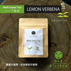 y[ցi3܂Łjz c un[u o[xiv _sgp w엿sgp sgp R  I[KjbN Β ʌY Y eB[obO t  