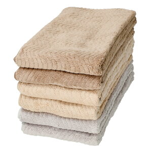 TEIJIN ふわふわ フェイスタオル 6枚組 速乾 帝人 新モデル タオル マイクロファイバー ふわふわ 吸水タオル 速乾タオル 吸収力 フワフワ セット たおる 抗菌 防臭 乾きがはやい QVC セット テレ