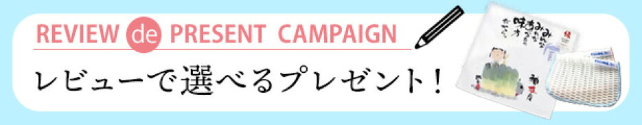 レビューでお掃除グッズプレゼント！