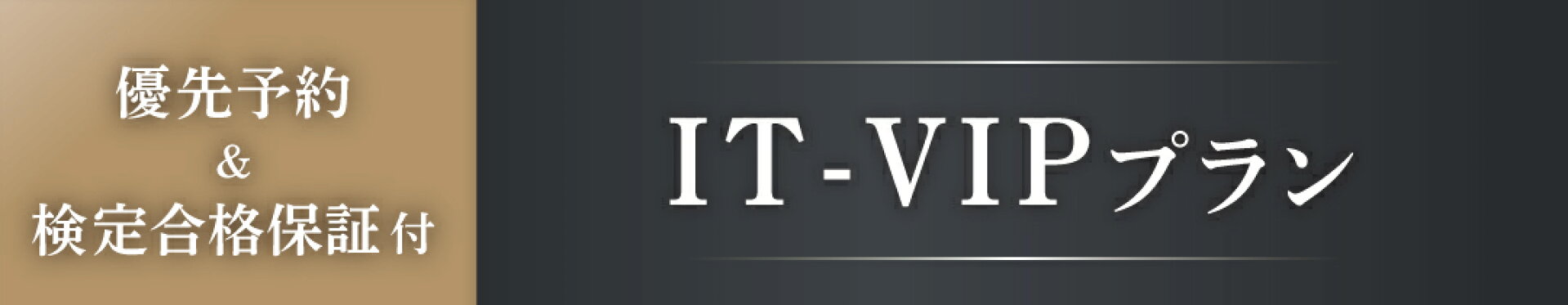 IT-VIPプランのご案内