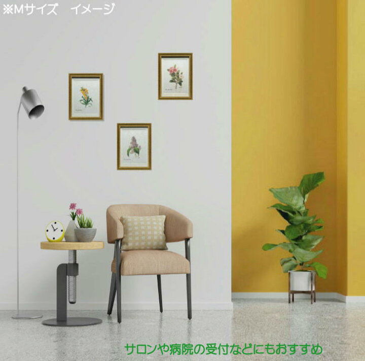 楽天市場 Pealimo インテリア 絵画 植物 バラ 薔薇 ピエール ジョゼフ ルドゥーテ Mサイズ 3サイズシリーズ Candolle Rose 34cm 約25cm 花額絵 額装品 複製版 Pierre Joseph Redoute ボタニカルアート 植物画 花 額縁 花絵 フレーム ルデューテ ポスター おしゃれ