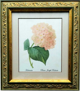 Pealimo s[ CeA G A sG[ W[t hD[e wHortensiax32cm×28cm G zi {^jJA[g f[e z ԊG t[ z |X^[  ؃t[