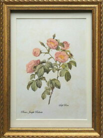 Pealimo インテリア 絵画 植物 バラ 薔薇 ピエール ジョゼフ ルドゥーテ Mサイズ 3サイズシリーズ 34cm×約25cm 『soft rose』花額絵 おすすめ額装品 Pierre Joseph Redoute ボタニカルアート 植物画 花 額縁 フレーム ルデューテ 額入り ポスター おしゃれ 工芸品 クラフト