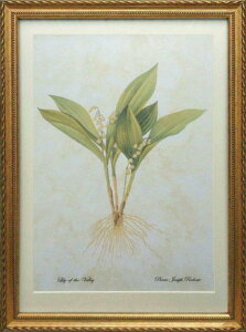 Pealimo CeA G A sG[ W[t hD[e wLily of the ValleyxLTCY {^jJA[g 3TCYV[Y 46cm×33cm G zi A  z g ԊG t[ f[