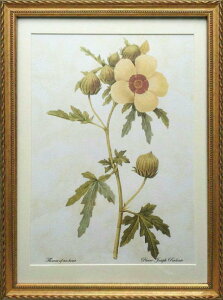 Pealimo CeA G A sG[ W[t hD[e LTCY {^jJA[g 3TCYV[YwFlower of an hourx 46cm×33cm G zi A  z g ԊG t[ f[e