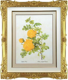 Pealimo ピーリモ インテリア 絵画 植物 ピエール ジョゼフ ルドゥーテ 約47cm×40cm『Yellow Rose』花 絵 額装品 ボタニカルアート ルデューテ 額縁 花絵 フレーム 額入り ポスター おしゃれ 豪華フレーム ゴージャス ゴールド カーネーション 工芸品 クラフト