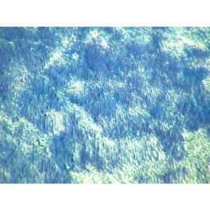 ぬいぐるみ材料 ミニチュアファー ライトブルー 光沢タイプ 手足パットにも ぬいぐるみ資材 布