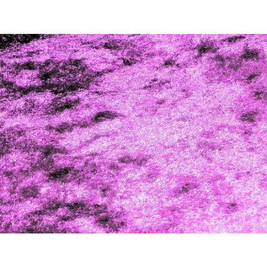 ʂݍޗ ~j`At@[ p[v ^Cv 葫pbgɂ ʂݎ z