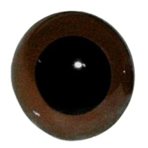KXAC _[NuE 20mm ʂ ޗ  f efBxA ޗ  Aj}