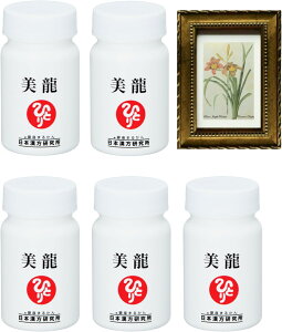 ܂邩 { Ki 5{ pealimos[ zt[ wCommon DaylilyxSSTCY1 Zbg ϕi ei ēl ЂƂ肳 eϕi NT|[g NHi