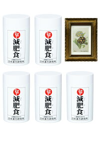 ܂邩 { Ki H5{ pealimo s[ zt[ wAuriculaxSSTCY1 Zbg ϕi ei ēl ЂƂ肳 eϕi NHi NT|[g