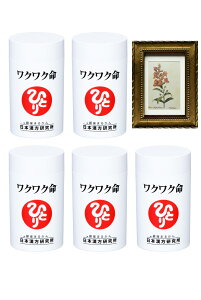 ܂邩 { Ki NN5{ pealimo s[ zt[ wSnapdragonxSSTCY1 Zbg ϕi ei ēl ЂƂ肳 eϕi NHi NT|[g