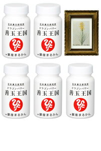 ܂邩 { Ki hSp[Pʉ5{ pealimo s[ zt[ wYellow AsphodelxSSTCY1 Zbg ϕi ei ēl ЂƂ肳 eϕi NHi 