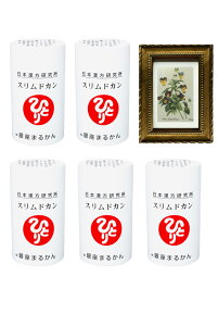 ܂邩 { Ki XhJTCY5{ pealimo s[ zt[ wPansyxSSTCY1 Zbg ϕi ei ēl ЂƂ肳 eϕi NHi NT|[g