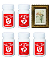 ܂邩 { Ki XJbgC5{ pealimo s[ zt[ wCommon DaylilyxSSTCY1 Zbg ϕi ei ēl ЂƂ肳 eϕi NHi NT|[g