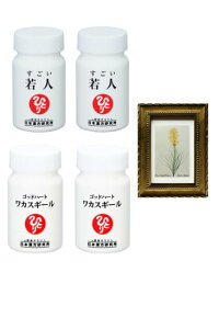 ܂邩 { Ki JXM[2{ l 2{ pealimo s[ zt[ wYellow AsphodelxSSTCY1 Zbg ϕi ei ēl ЂƂ肳 eϕi NHi