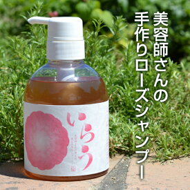 いらうローズシャンプー 400ml ほのかなバラの香りが 大人気 ノンシリコンシャンプー オーガニック ボタニカルシャンプー アミノ酸 アミノ酸系 シャンプー 日本製 合計金額3,500円以上で 送料無料