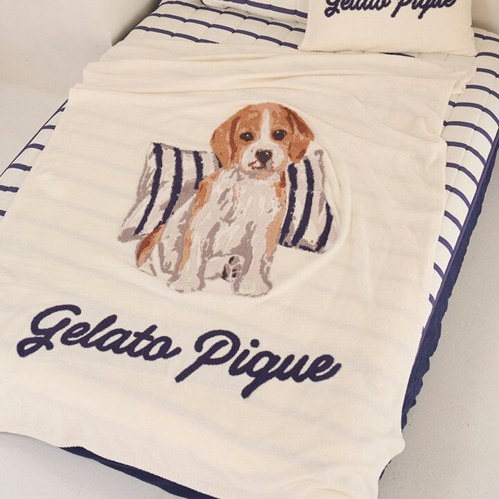 楽天市場】(15日限定ポイント最大10倍)ジェラートピケ gelato pique 