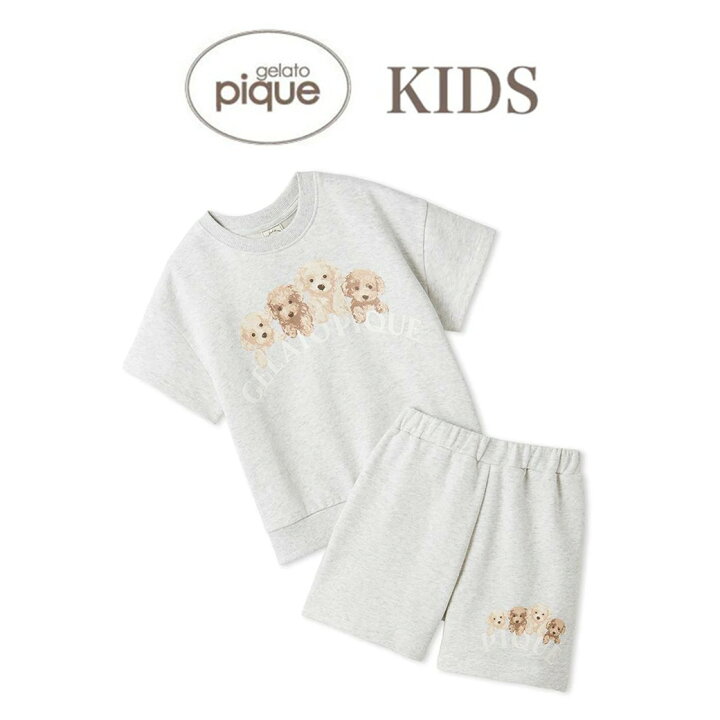 楽天市場】ジェラートピケ キッズ gelato pique kids トイプードル裏毛 