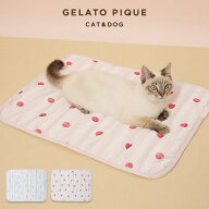 ジェラートピケ gelato pique CAT&DOG 接触冷感 Coolingマット pagg262576 ジェラピケ 犬猫用 小型犬 冷…