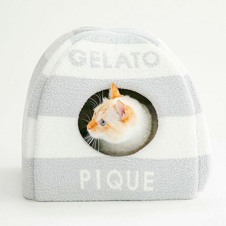 楽天市場】ジェラートピケ gelato pique CAT&DOG 販路限定商品 ベビ 