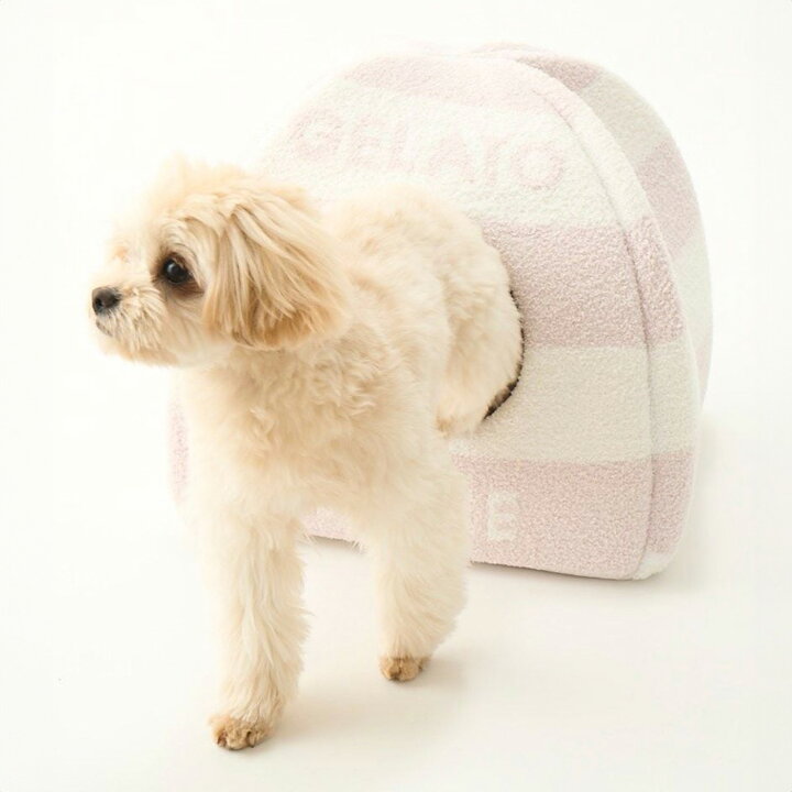 楽天市場】ジェラートピケ gelato pique CAT&DOG 販路限定商品 ベビ 